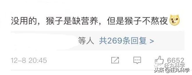 鏃ユ湰鐚村瓙鍚冮奔,鏃ユ湰鐚村瓙绉冨ご鍚冮潚鑺遍奔