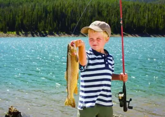 伊布除了足球还擅长什么运动,伊布除了足球还会什么