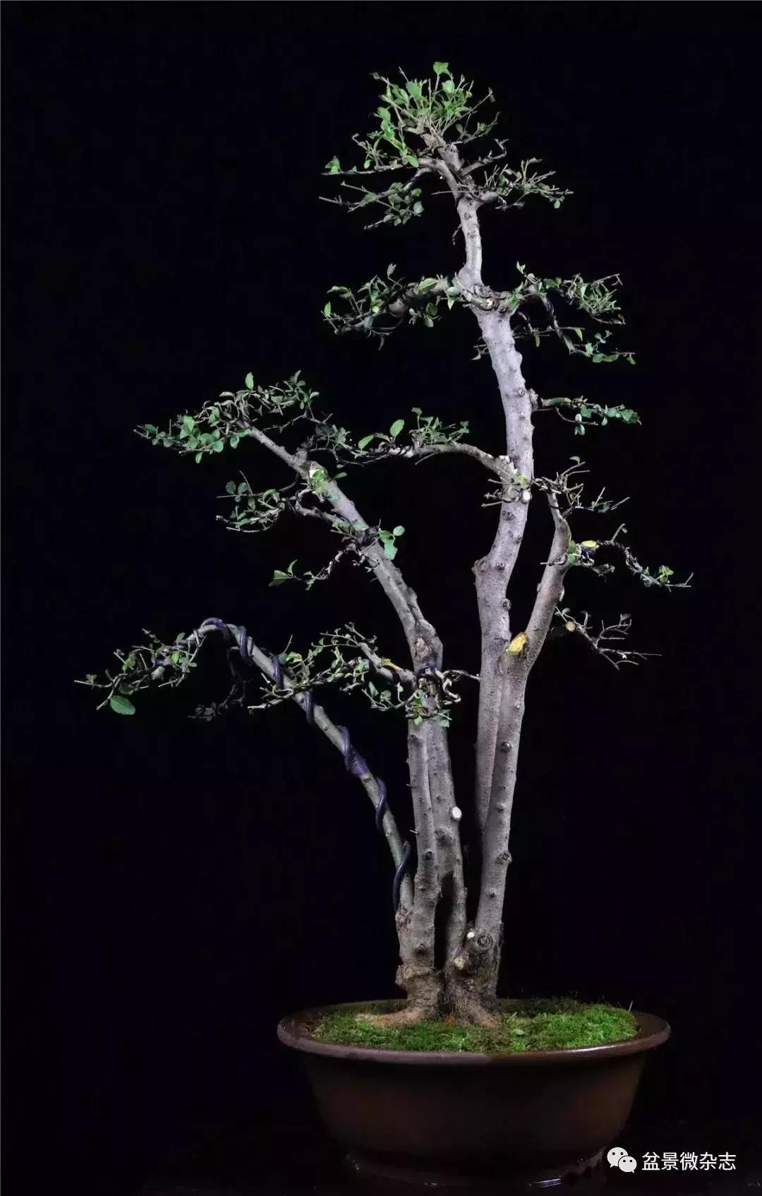 催老的坏习惯有哪些,催人老的四大秘诀