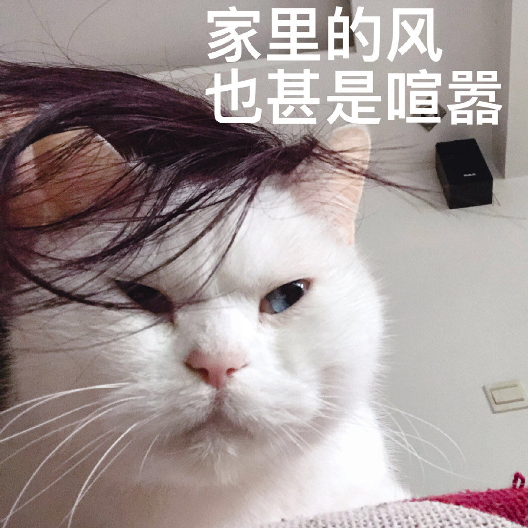 种草100分鞋子,种草好看的鞋