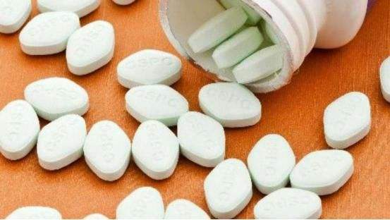 饲养柯基犬的正确方式,柯基犬怎么饲养最好