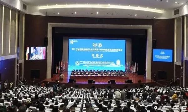 一泡而红！四川这座小城已火向全球，今天万人齐聚！