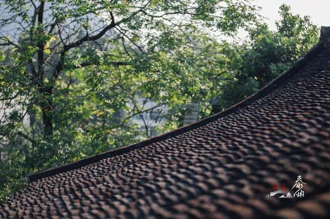 探索秘境,泰顺小众秘境