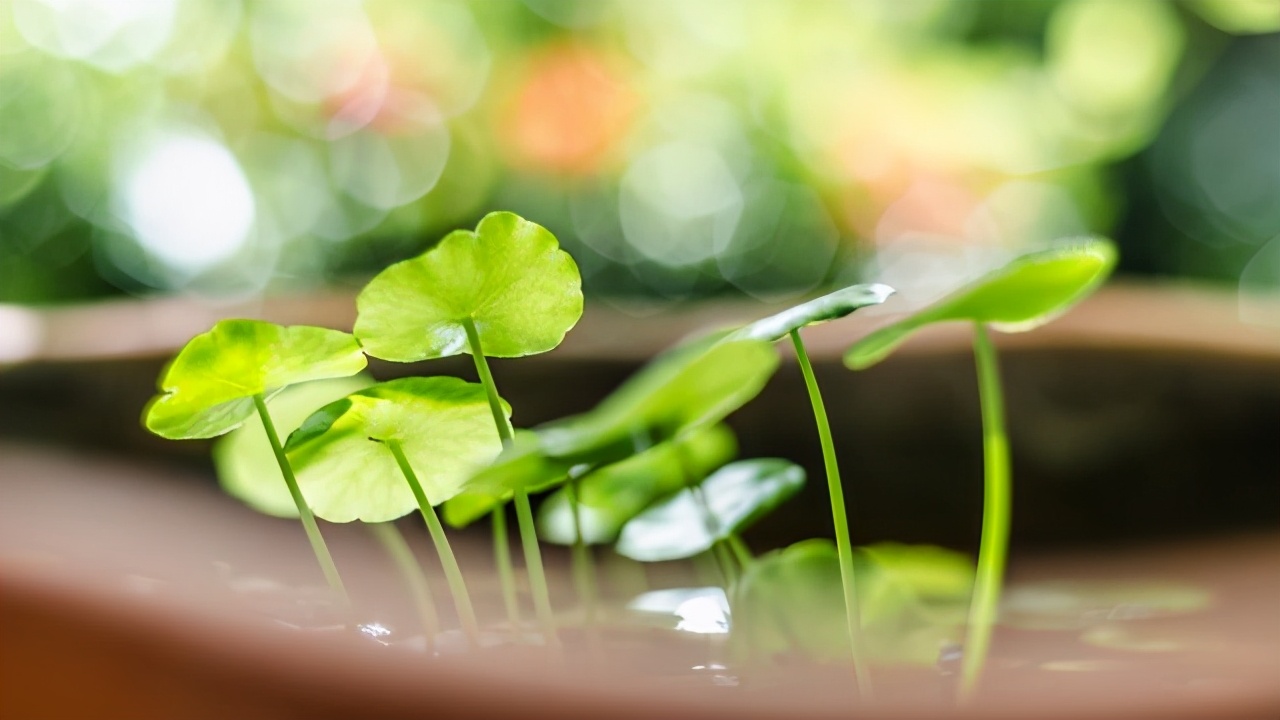 幸福的女人懂得知足常乐,幸福的女人懂得爱自己