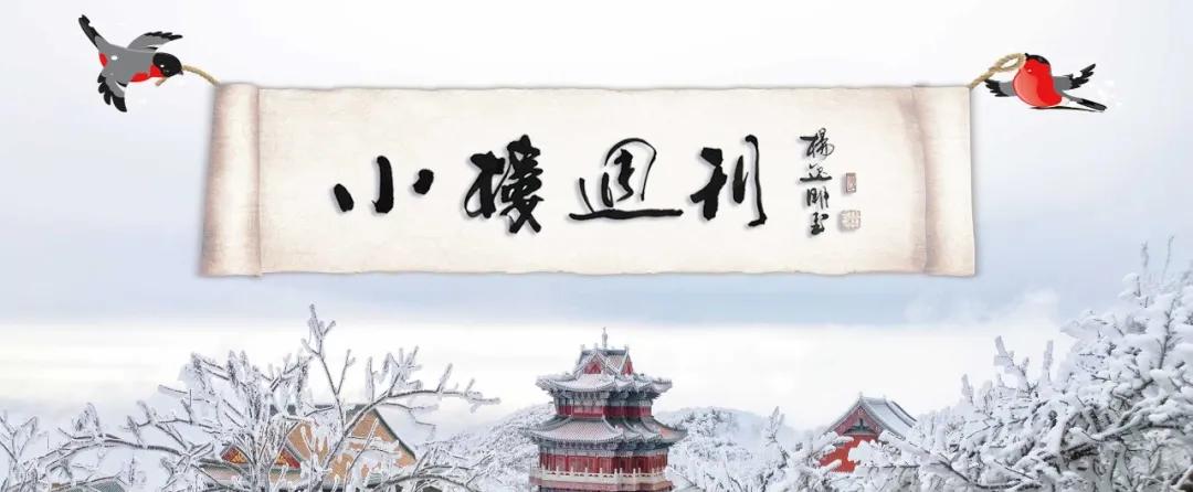 小楼周刊2024第11期,小楼周刊2021年第36期