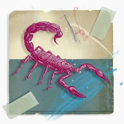 十二星座中谁最有时间观念,十二星座时间是算公历还是算阴历