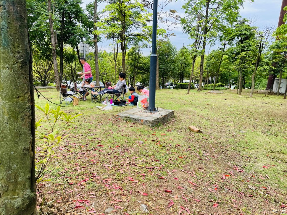 成都人会玩的景点,成都凤凰山公园可以爬山吗