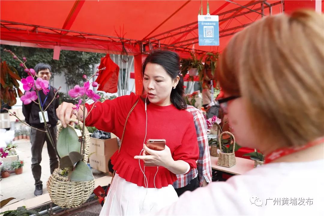 广州黄埔花市2023年什么时候开始,2020年黄埔花市