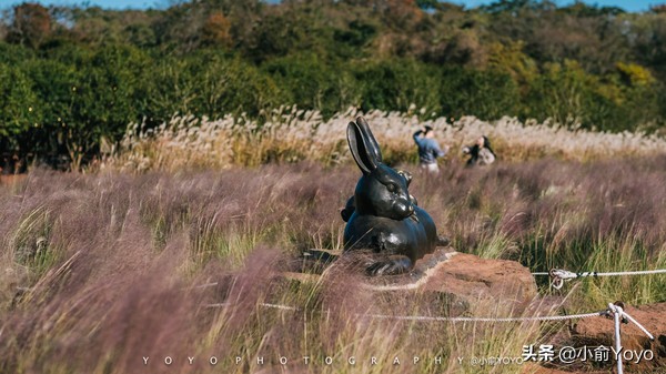 济州岛最值得去的地方,来济州岛第一天去哪玩