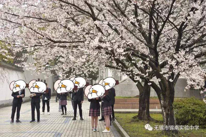 青春回忆杀深圳校服,青春回忆杀校园暗恋