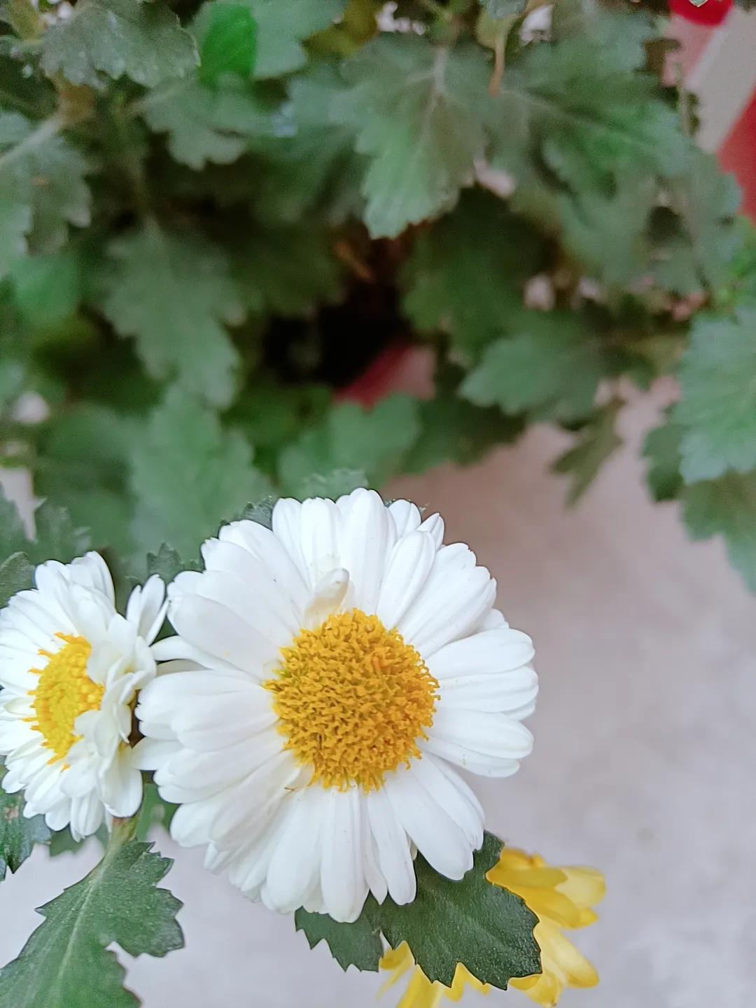 现实中爱情的样子,#爱情最美的样子