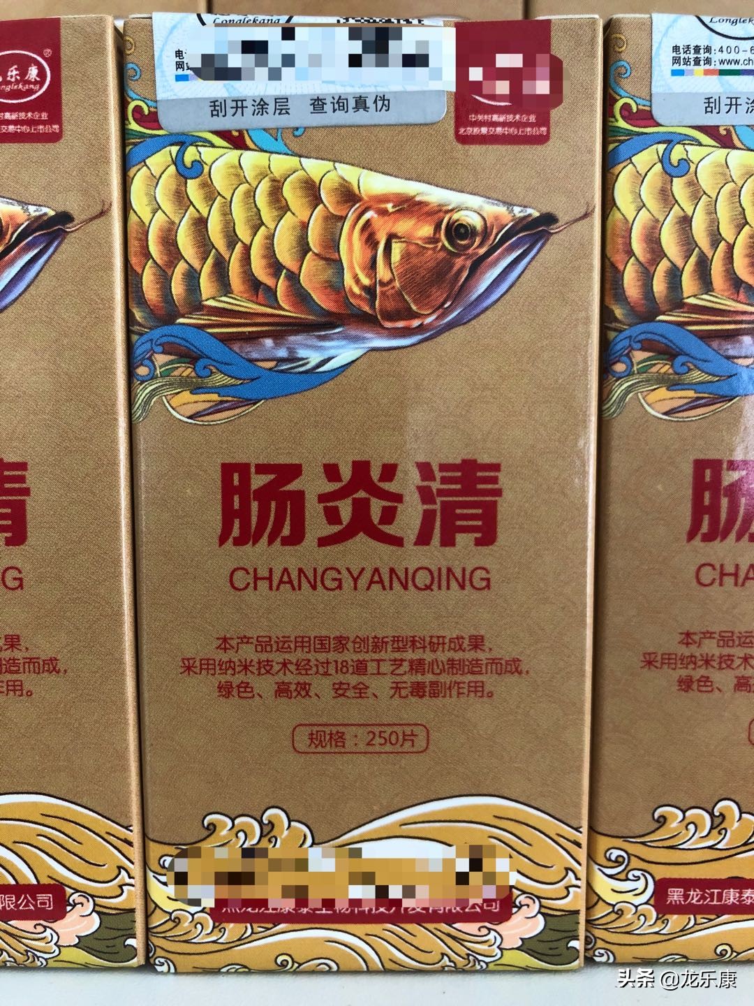 龙鱼疾病的概况,龙鱼突发疾病