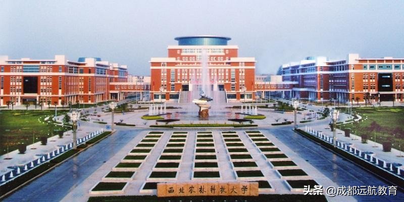 985学校艺术专业都有哪些,985综合大学的艺术专业怎么样