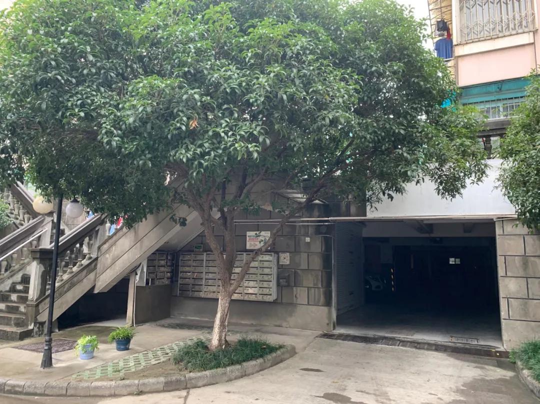 丝绸城与体育场板块，好风送我上青云！|房叔说No.315