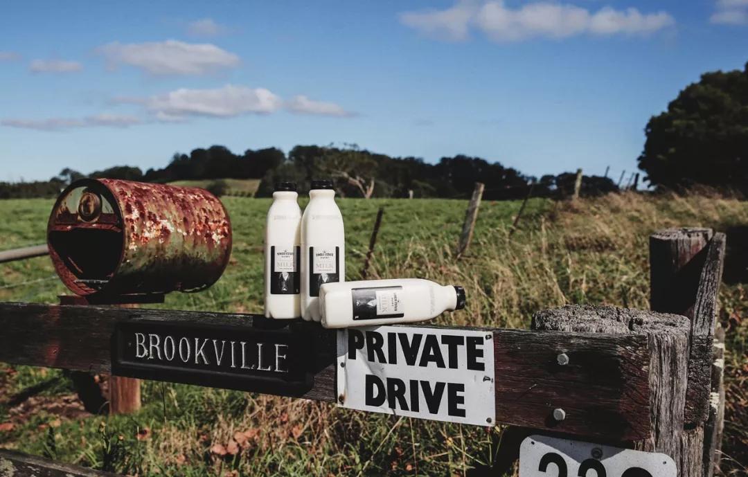 「嚼的到的鲜奶」澳洲SingleEstatedairy鲜奶，来自同一个牧场