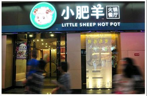 火锅一姐怎么样了,火锅一哥完整版