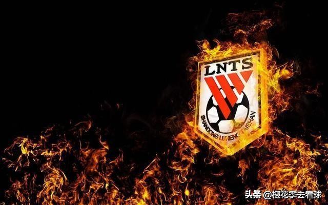 深度解析山东鲁能,山东鲁能二十二轮