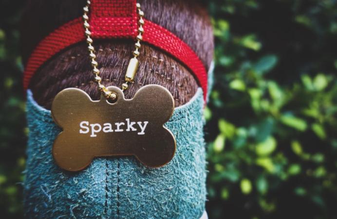 下半年发售的sbdunk,高颜值sbdunk推荐