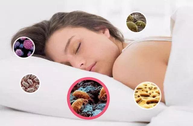 卡伴微米干发帽,日本微米级干发帽