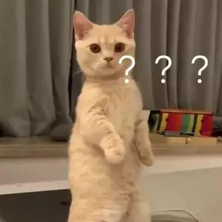 4款清凉又好看的扎发教程,女生最好看的两款扎发详细教程