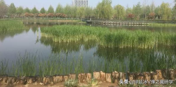 郑州五一近郊游的好地方,不出郑州就能游玩的地方