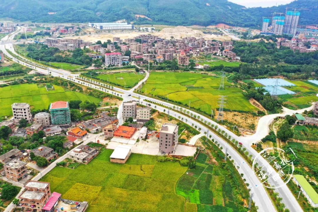 从“涣散村”到“示范村”!南安这个村是这样做到的