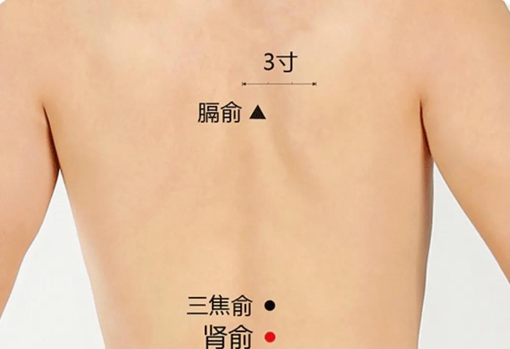 健忘可以刺激什么穴位,改善记忆力的食补多久有效
