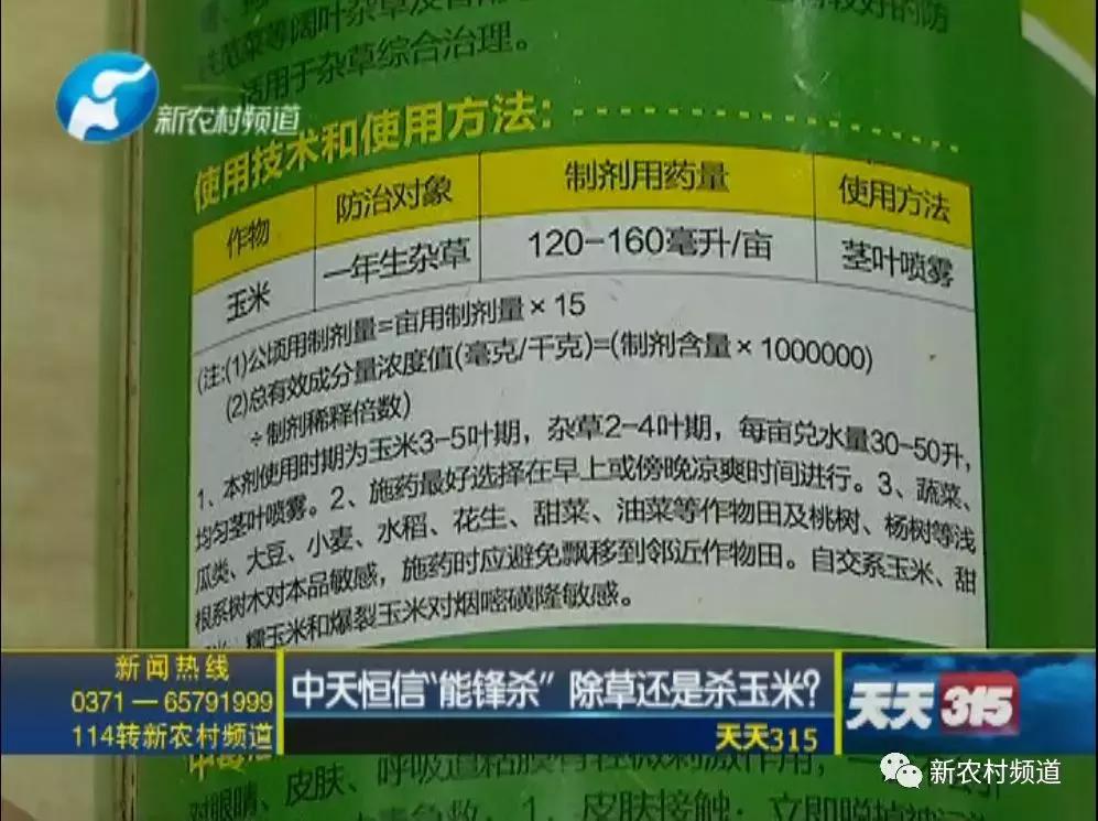 玉米除草剂药害玉米减产吗,玉米受药害减产吗