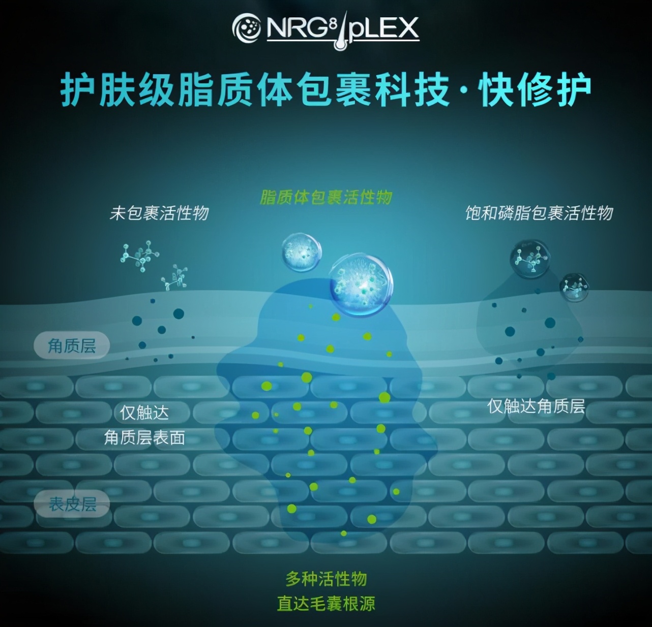 HairMax光研氏根源焕活系列全新上市—开启头皮养护新时代