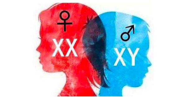 无性生殖到有性生殖的进化,无性生殖是怎么进化成有性生殖的