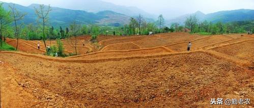 生态农业未来前景如何,生态农业发展趋势