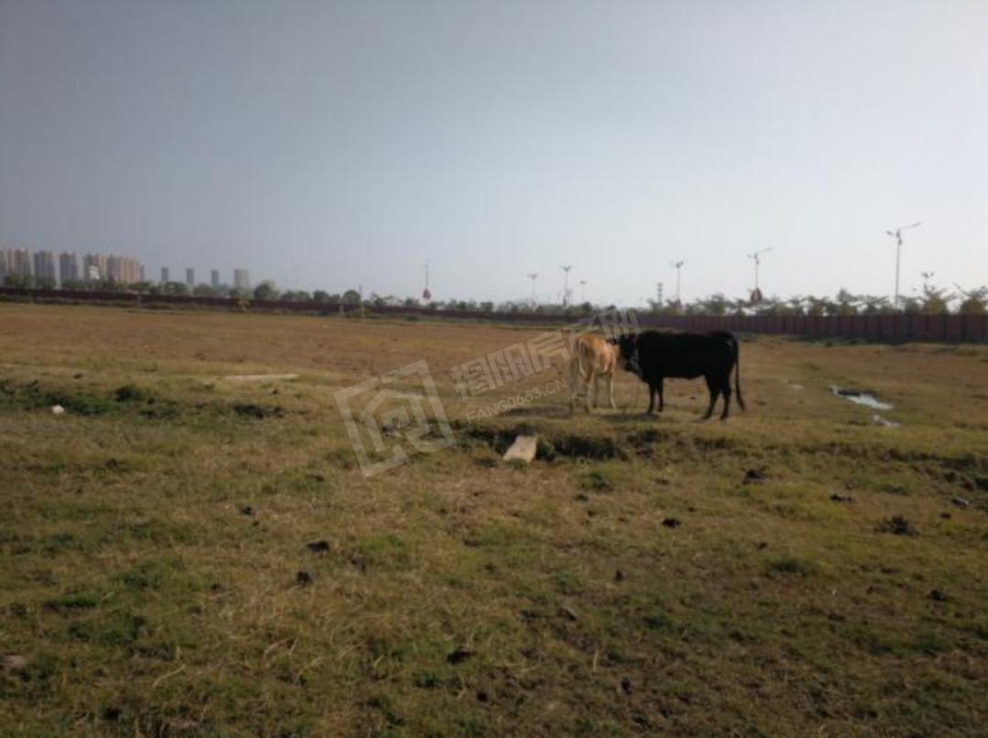 言成房产,言成地产怎么样