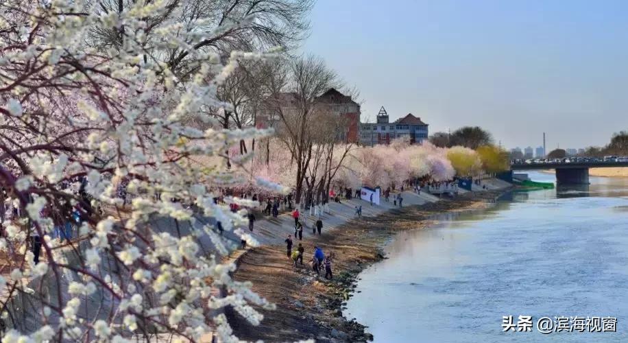 天津市今年地铁项目有哪些,天津新增地铁路线