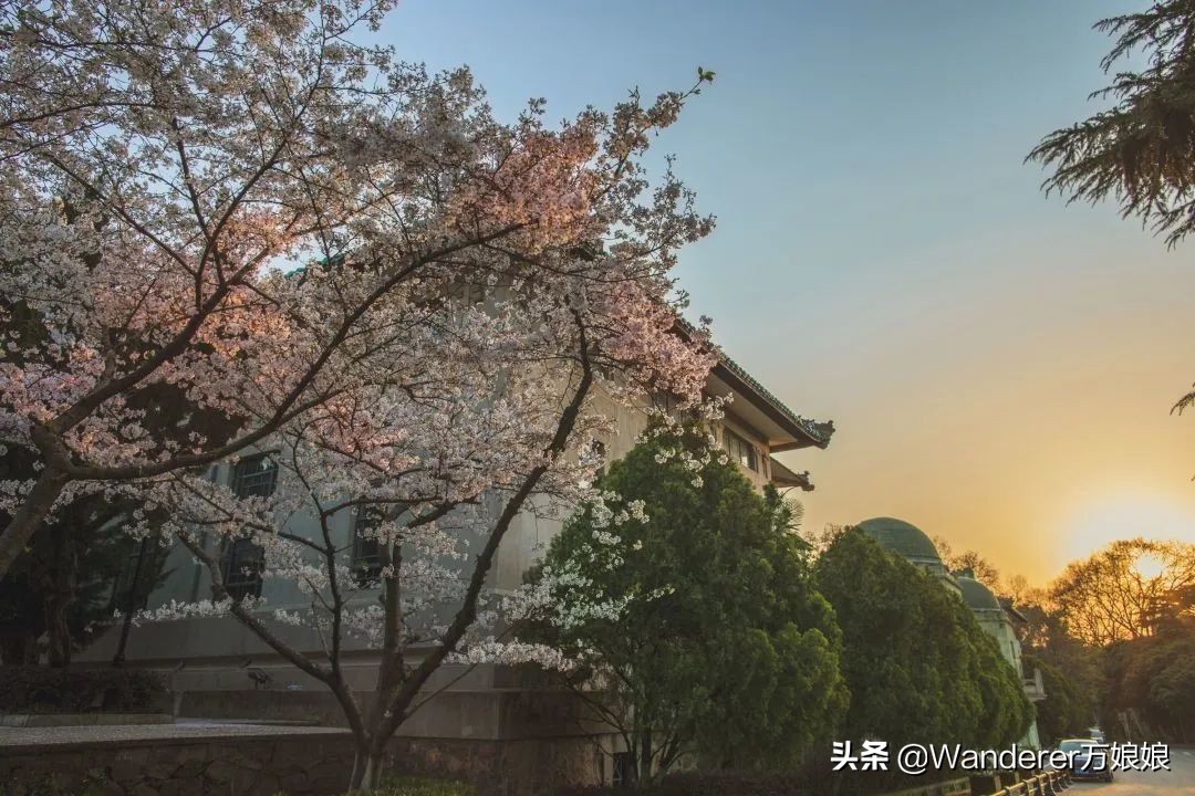 各地高三开学时间最新消息,最新各个省份高三开学时间