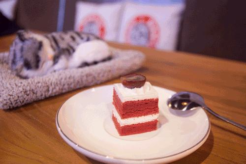 一杯回血！漫猫咖啡带你把生活里的一言难尽，全部一言而尽