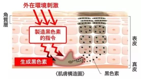 夏天痘印淡化得快吗,夏天到了痘印淡了