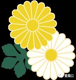 网民问题留言答复,网民诉求回复栏目