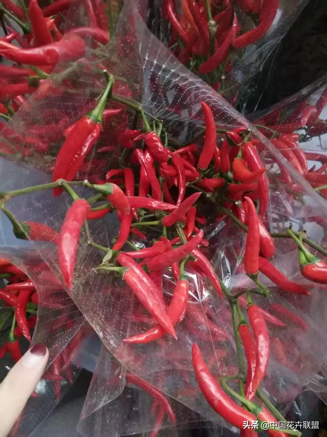 春天花市有哪些花材,便宜又大把的花材有哪些