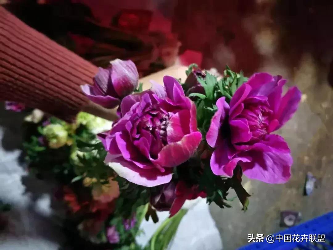 春天花市有哪些花材,便宜又大把的花材有哪些