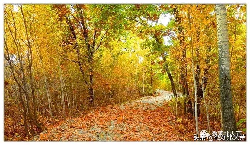 北大荒的追梦人|葛柏林：打造“中国最美家庭农场”的北大荒人！