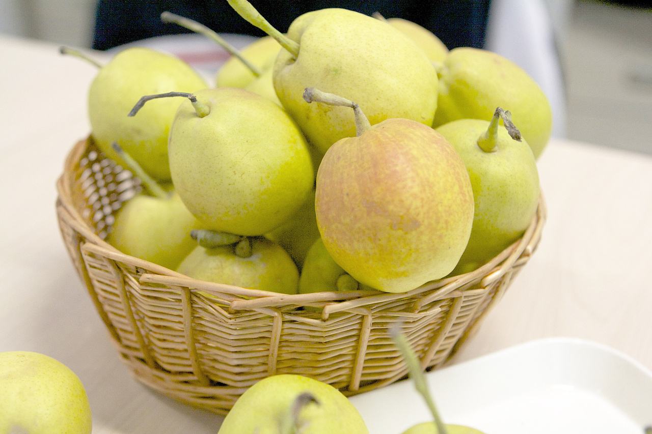 从新疆出发旅游要带什么,入疆旅游攻略