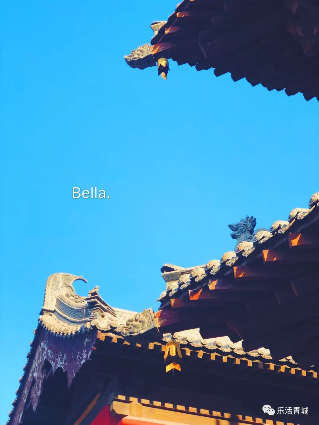 贝拉专访合集,贝拉专访完整版