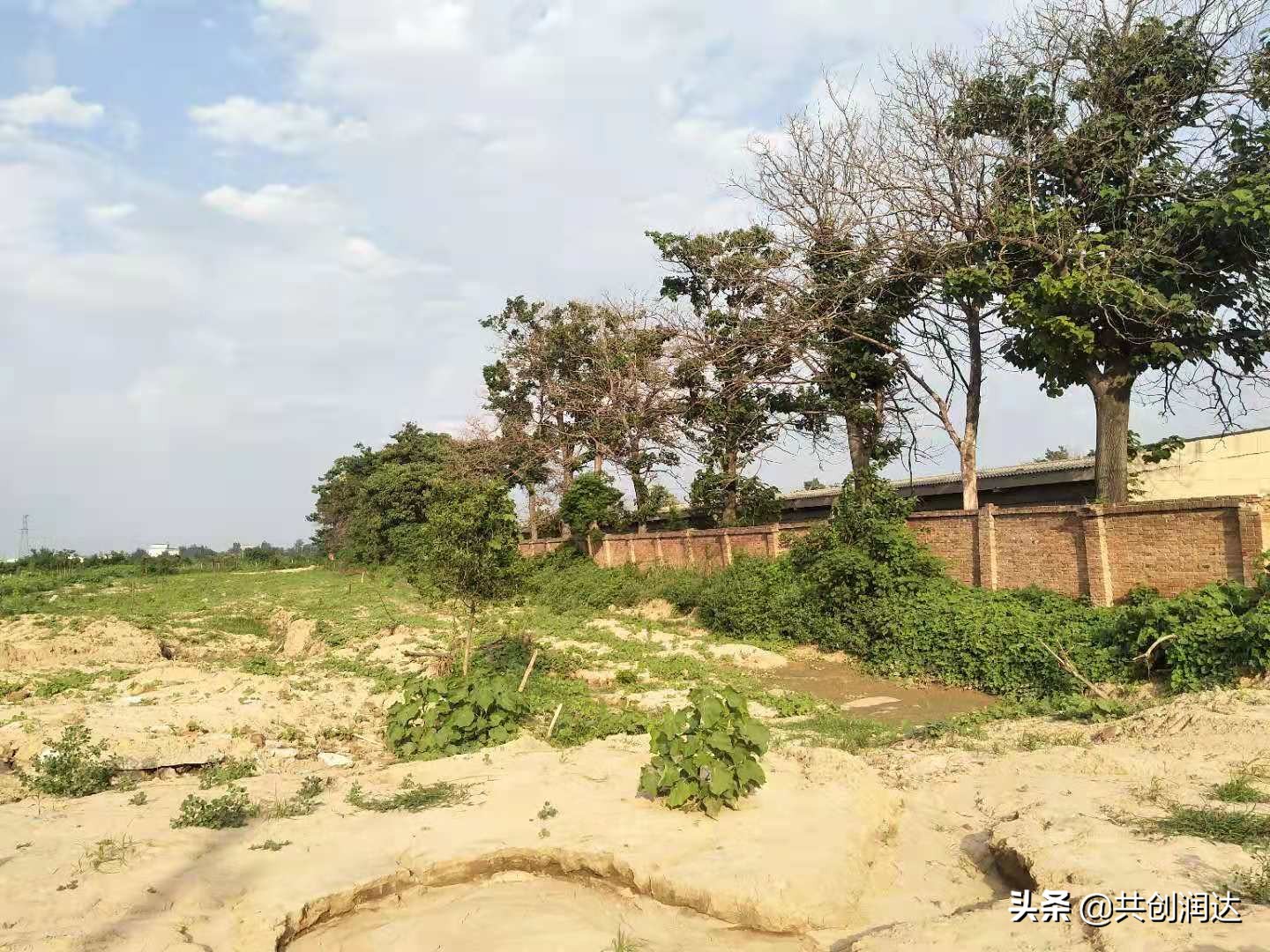 渭南崛起之六：渭南市人民医院（市妇幼保健院）新院址选址经开区