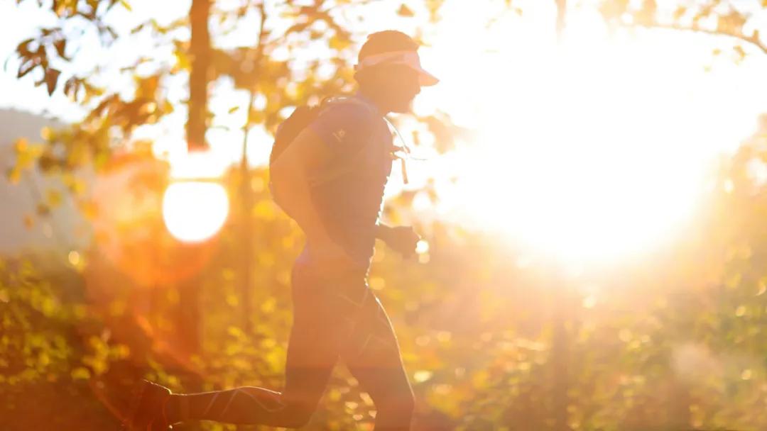 什么茶调节睡眠质量效果好,什么茶能帮助睡眠效果最好呢