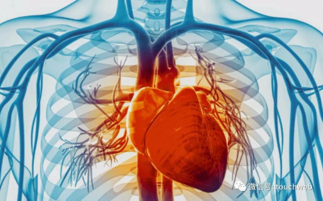 基因疗法相关上市公司,tenaris公司