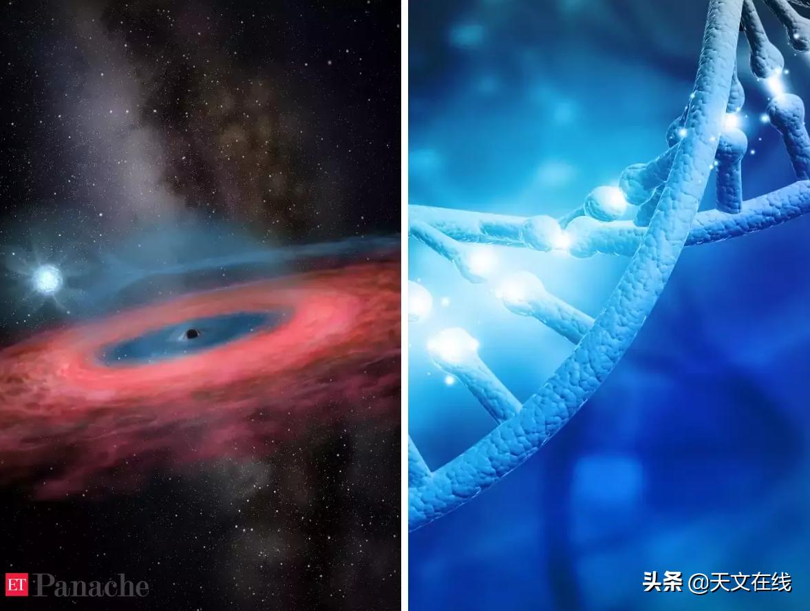 天文学家银河系黑洞,天文学家捕捉到地球附近黑洞