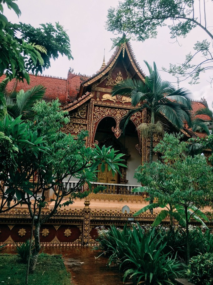 云南不止有风花雪月的苍山洱海,去西双版纳感受傣族民族风情