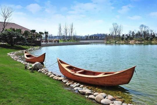 天府新区新出来的楼盘,成都天府新区锦江生态带楼盘