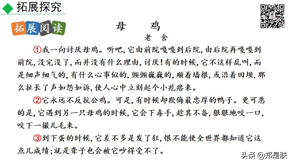 七上人教版第十七课动物笑谈课件,七上语文动物笑谈