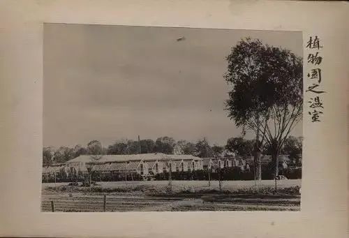 北京动物园园林介绍,北京动物园全景简介